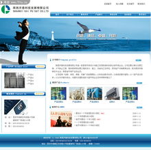 數字藝術之韻 50款行業網站精品欣賞